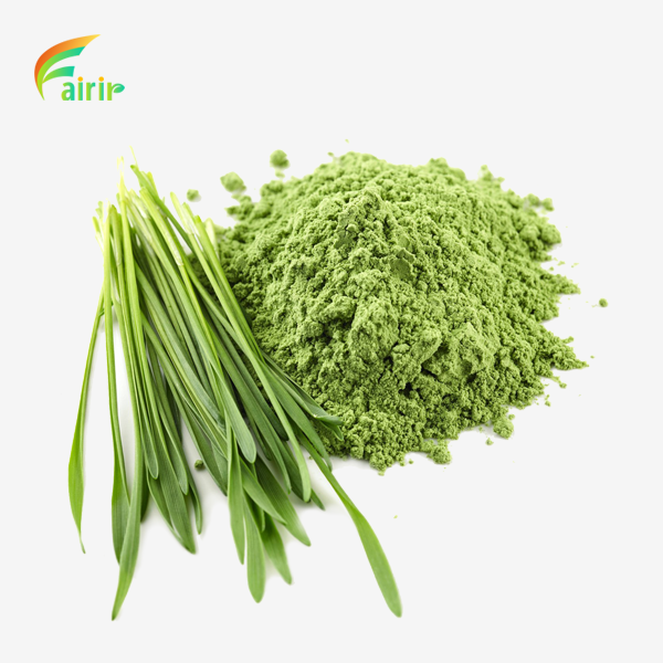 Barley Leaf Juice Powder